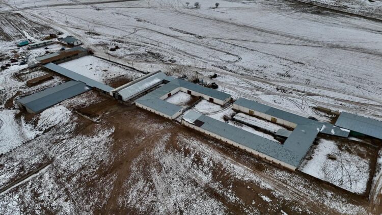 Қонаевта сүт-тауарлы фермасы салынады