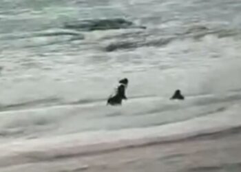 Подростка чудом спасли в Актау