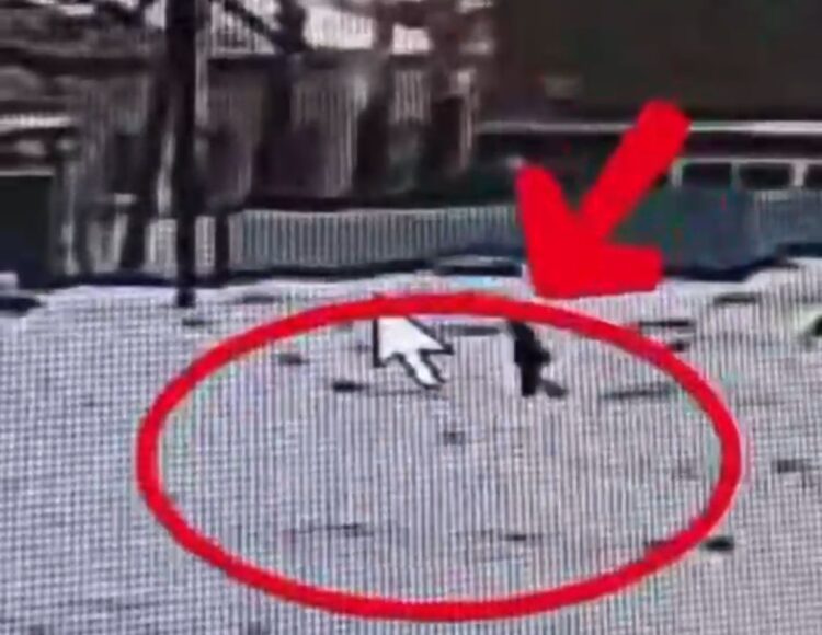 Участковый полицейский с помощью видеокамер спас пропавшего 8-летнего ребенка в области Абай