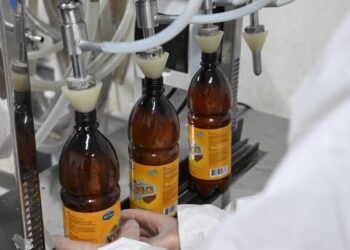 Талдықорғанда жас отбасы өңірде алғаш рет бал қымыз өндірісін бастады