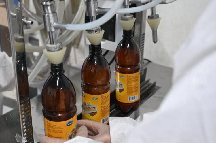 Талдықорғанда жас отбасы өңірде алғаш рет бал қымыз өндірісін бастады