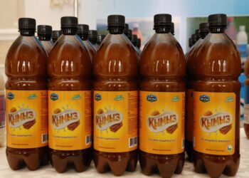 Талдықорғанда жас отбасы өңірде алғаш рет бал қымыз өндірісін бастады