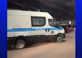 Разыскиваемая за руководство финансовой пирамидой экстрадирована из Грузии