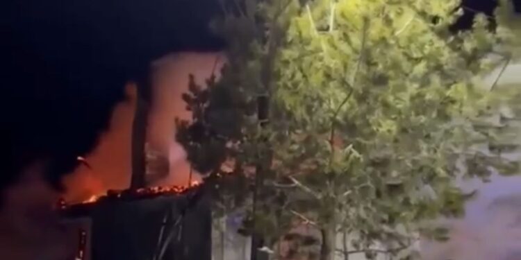 «Үйде жалғыз қалдырған»: Солтүстік Қазақстандағы қыздың анасы қамауға алынды