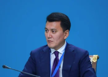 Ерлан Карин: по итогам курултая в Бурабае приняли 6 законов и запустили работу над 10 законопроектами