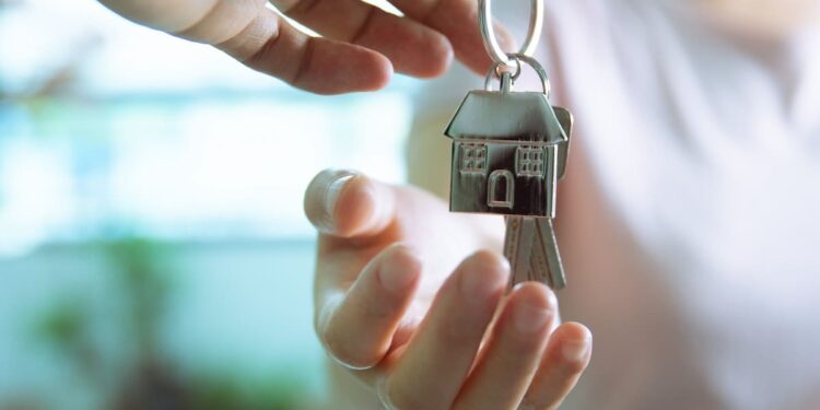 Более 20 млн тенге ущерба: подозреваемая из Урджара взята под стражу