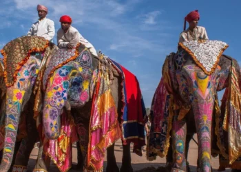 Қазақстан азаматтарына Үндістан визасы енді ақысыз беріледі