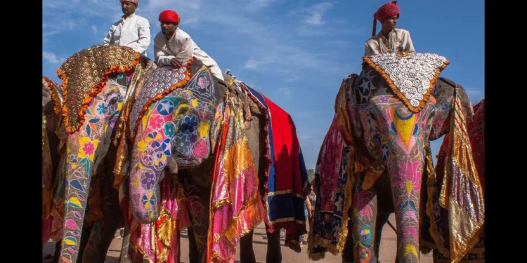 Қазақстан азаматтарына Үндістан визасы енді ақысыз беріледі