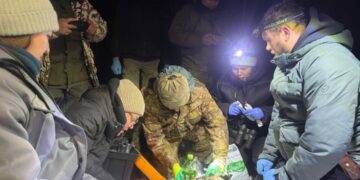 Передвижение снежного барса возле Алматы начали отслеживать со спутника