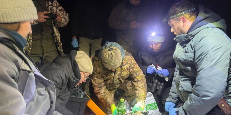 Передвижение снежного барса возле Алматы начали отслеживать со спутника