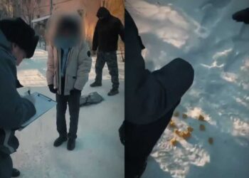 В Павлодаре поймали наркокурьера из Алматы