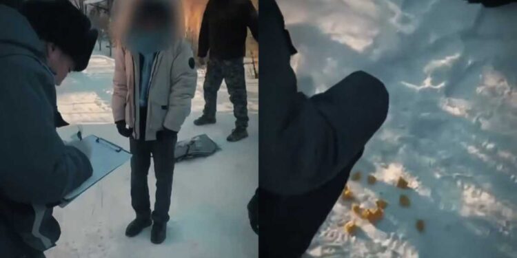 В Павлодаре поймали наркокурьера из Алматы