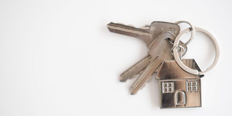 20 млн теңгеден астам шығын: Ұржар тұрғыны алаяқтық күдігімен қамауға алынды