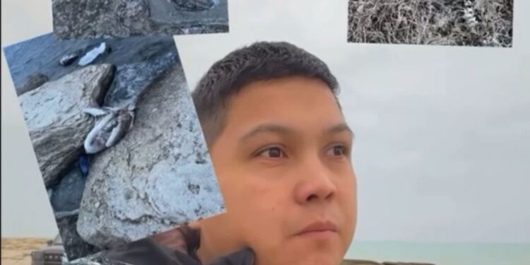 Сайын Шапағатов ауылы маңында құстардың жаппай қырылуы тіркелді