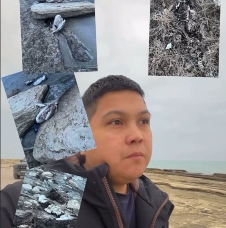 Сайын Шапағатов ауылы маңында құстардың жаппай қырылуы тіркелді