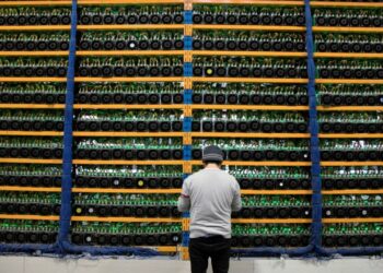 Теміртауда заңсыз майнинг фермасын құрған азаматқа қатысты сот үкімі шықты