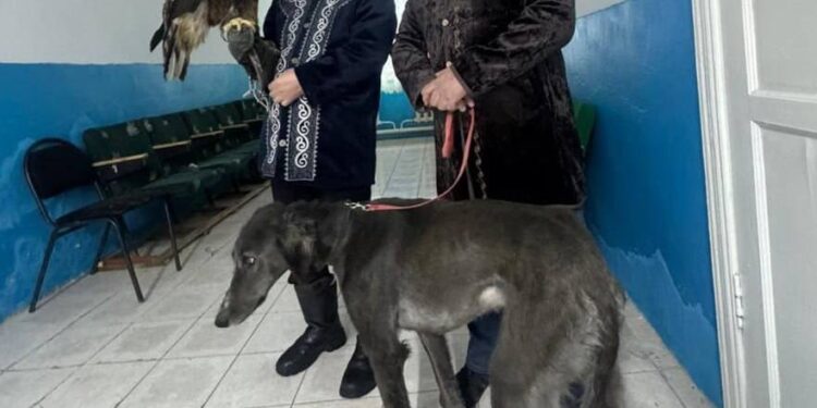 Бүркіт, тазы және Қыдыр ата: Қазақстан өңірлеріндегі референдумның қызықтары