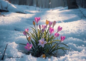 1 марта — День благодарности