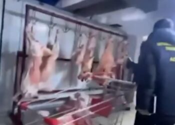 Елордадағы жеке секторда антисанитариялық жағдайда жұмыс істеген ет цехы анықталды