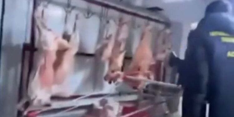 Елордадағы жеке секторда антисанитариялық жағдайда жұмыс істеген ет цехы анықталды