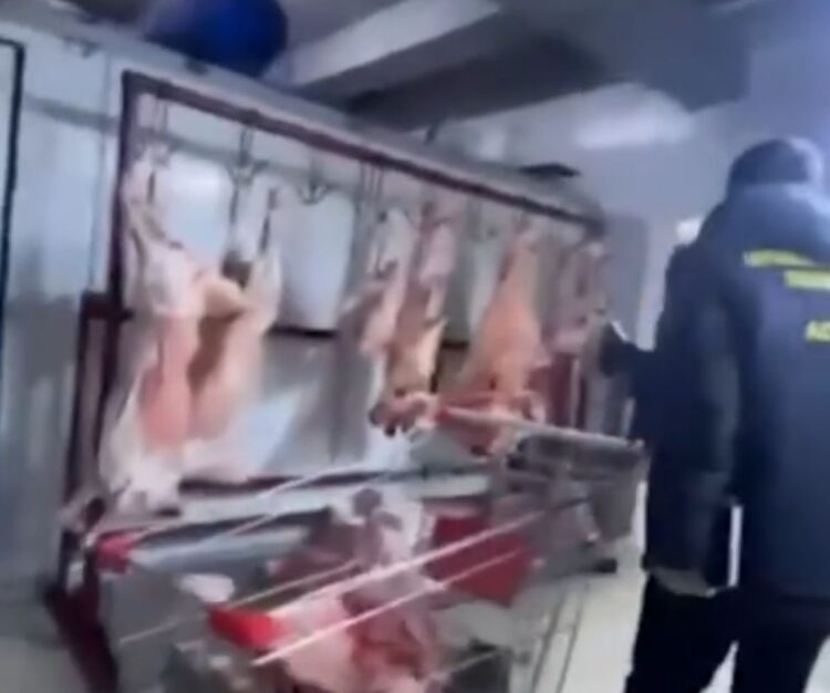 Елордадағы жеке секторда антисанитариялық жағдайда жұмыс істеген ет цехы анықталды
