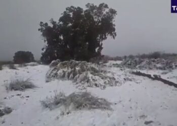 Сахарада қар жауды: Әлемдегі ең үлкен шөл даланы ақ ұлпа басты