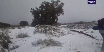 Сахарада қар жауды: Әлемдегі ең үлкен шөл даланы ақ ұлпа басты