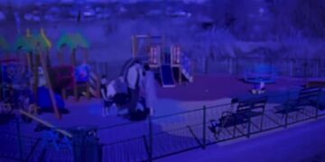 В Караганде полиция проводит проверку по факту нападения мужчины на несовершеннолетнего