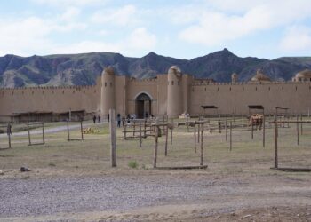 Көшпенділер қалашығында» экопарк пайда болды: 500 ағаш егілді