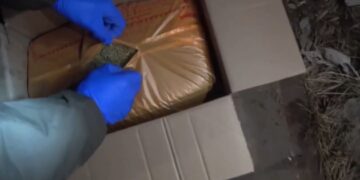 В Усть-Каменогорске в ходе спецоперации ликвидирован крупный канал незаконного оборота наркотиков