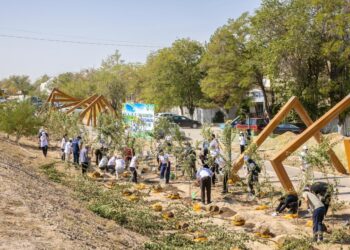 «Таза Қазақстан»: в Алматинской области состоялся масштабный субботник с участием 40 тысяч человек