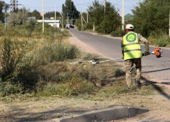 Тұрғындар үй маңындағы 5 метр аумақты таза ұстауы тиіс