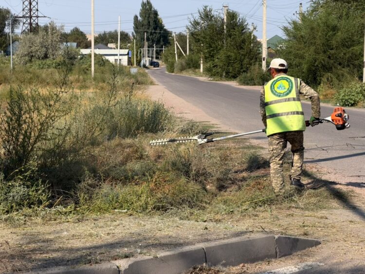 Тұрғындар үй маңындағы 5 метр аумақты таза ұстауы тиіс