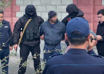Бопсалау, есірткі және қару: ІІМ 22 қылмыстық топ туралы хабарлады
