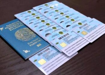 Қазақстанда шетелдіктерге ЖСН алу тәртібі қиындауы мүмкін