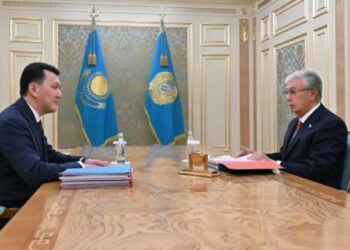 Токаев принял вице-президента Ерлана Карина и дал новые поручения
