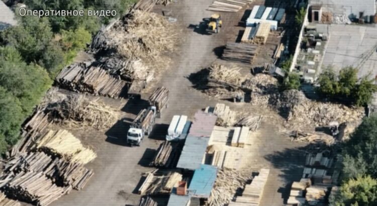 «Семей орманы» аумағындағы құнды орман телімдеріне кіру ақшаға сатылған