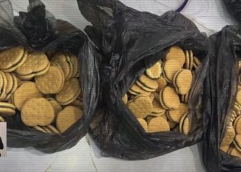 Печенье с наркотиками продавали через интернет-магазин в Астане