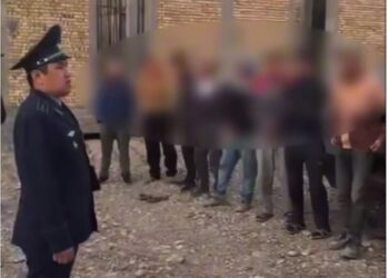 Более 15,8 тысячи нарушений выявили за время операции «Нелегал»